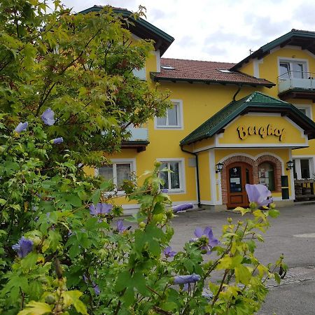 Pension Baumgartner-Berghof Obernberg am Inn المظهر الخارجي الصورة